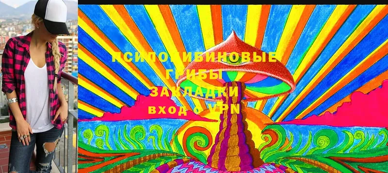 Псилоцибиновые грибы Psilocybe  где купить наркотик  Дмитровск 